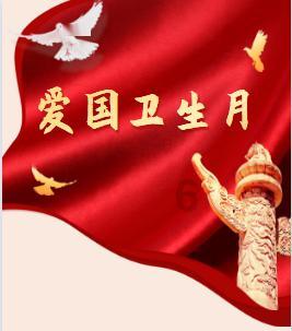 迷你拉力赛车
